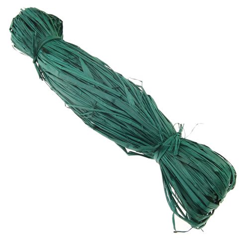 Image of Raffia 25g - Green
