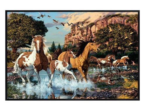 Image of Hidden Images Gloss Black Framed Running Free Poster