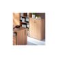 Urbane Designs Alpha 2 Door Cupboard