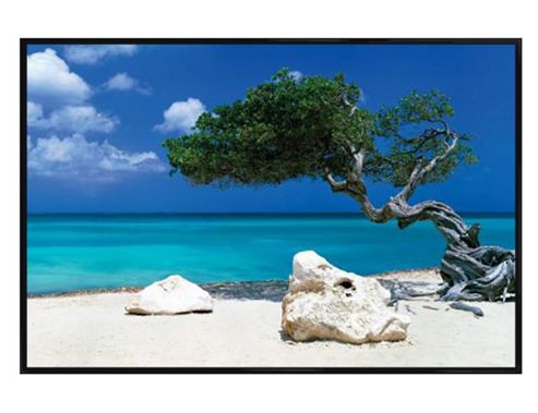 Image of Tom Mackie Gloss Black Framed The Divi Divi Tree Poster