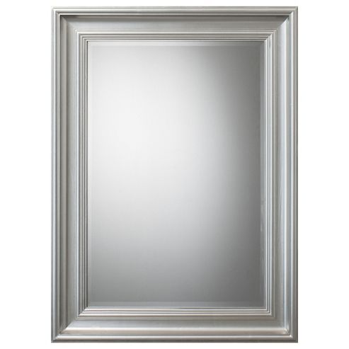 Image of Burwell Mirror 46" X 34", Silver