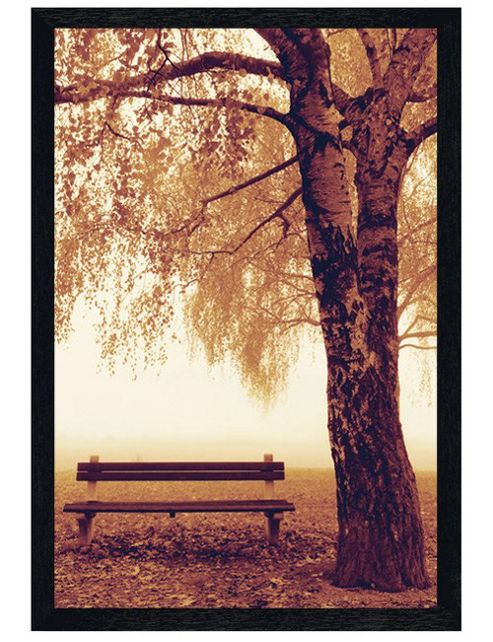 Image of Black Wooden Framed Park Bench In Autumn Poster