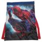 The Amazing Spider-Man Kids' Gym Bag