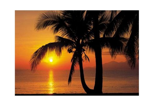 Image of Komar Palmy Beach Sunrise Wall Mural - 254 X 184 Cm - In 8 Rolls
