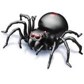 Salt Water Powered Spider