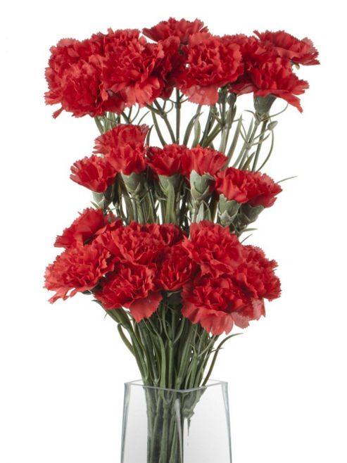 Image of Artificial 70cm Single Stem Multi Headed Red Carnations X 12
