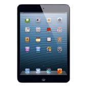 iPad Mini with Wi-Fi, 16GB Black