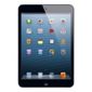 iPad Mini Wi-Fi, 16GB Black