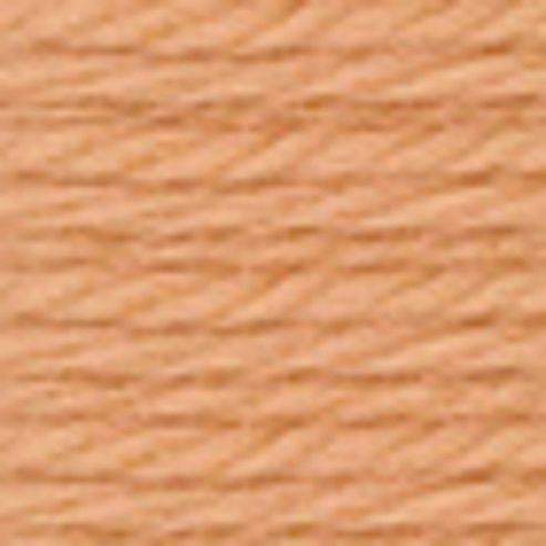 Image of Anchor Tapestry Wool 10mt 9508