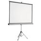 Kensington 4:3 1750x1325 Tripod Projection Screen (Matte White)