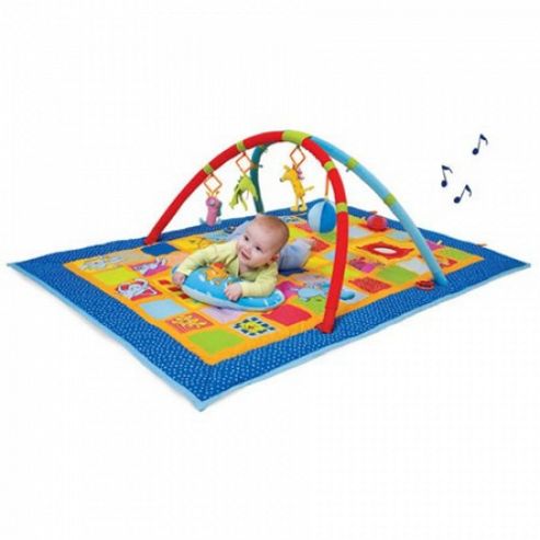 Image of Taf Toys 3-in-1 Curiosity Gym