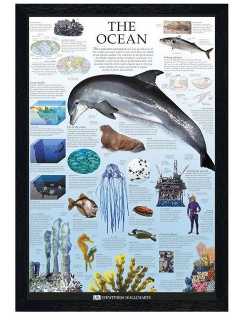 Image of Dorling Kindersley Black Wooden Framed The Ocean Poster