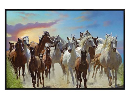 Image of Jim Warren Gloss Black Framed Roaming Free Poster