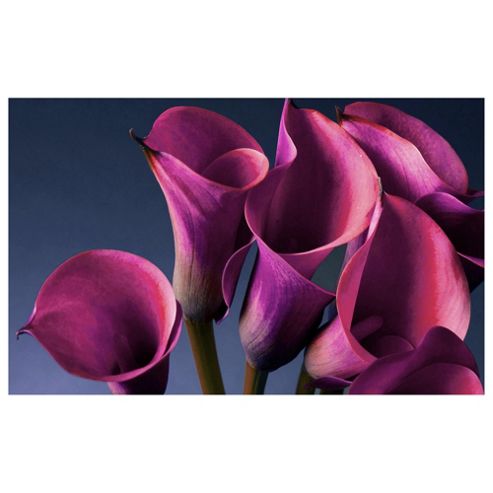 Image of Cala Lillies Canvas 50x80cm