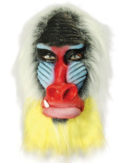 Image of Baboon Mask