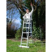 Trade MultiWay Adjustable Ladder (4x3)