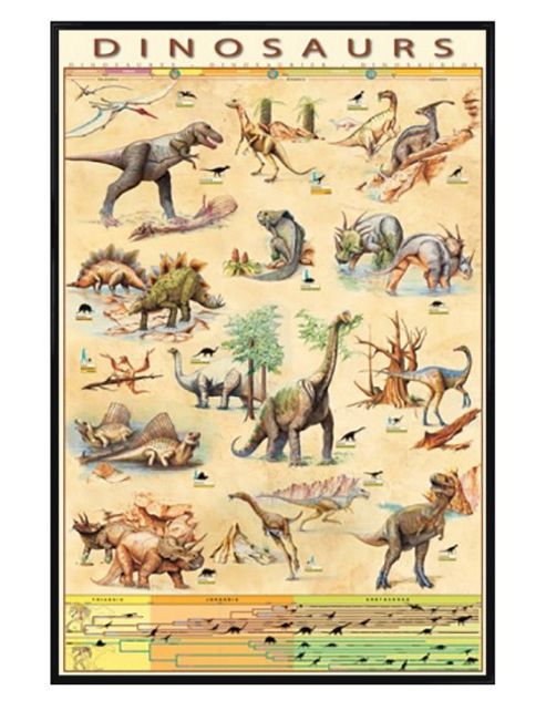 Image of Dinosaurs Jurassic Age Timeline Gloss Black Framed Species Poster