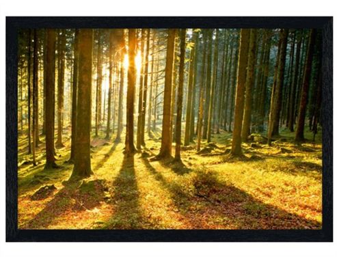 Image of Sunset Through The Trees Black Wooden Framed Sunbeams Poster