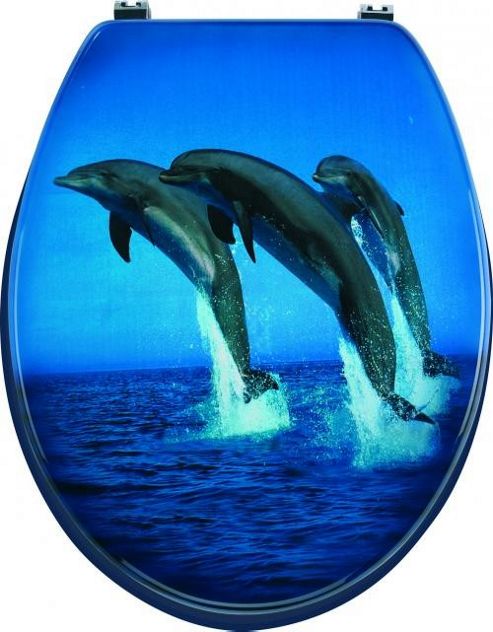 Image of Sanwood Jump Toilet Seat
