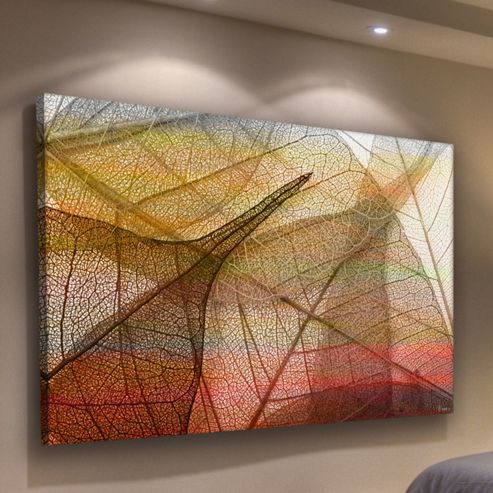 Image of Parvez Taj Apart Canvas Wall Art - 41 Cm H X 61 Cm W X 5 Cm D