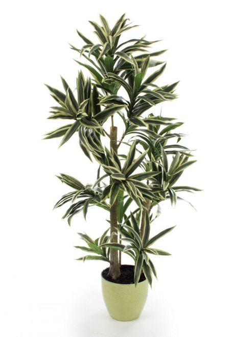 Image of Artificial 2ft Variegated Green And White Mini Dracaena Plant
