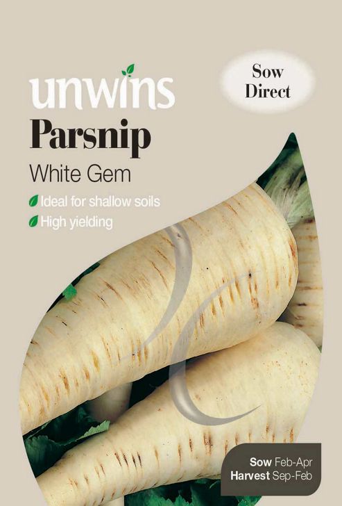 Image of Parsnip White Gem