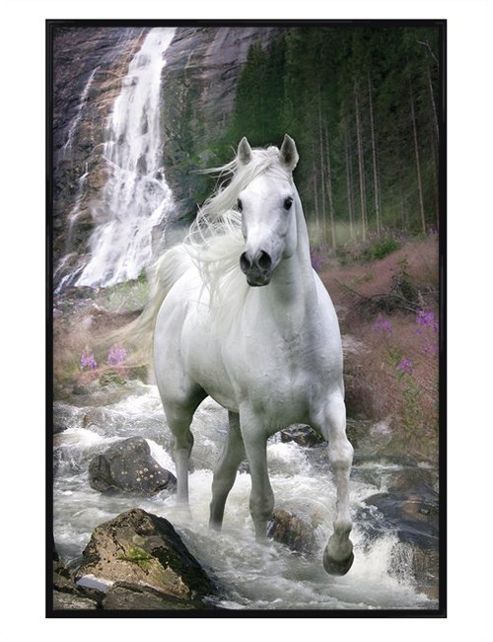 Image of Bob Langrish Gloss Black Framed Horse In A Waterfall Poster