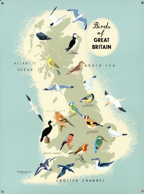Image of Birds Of Great Britain Tin Sign