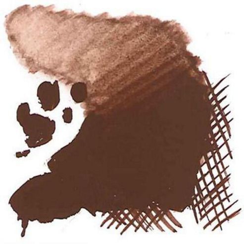 Image of Dr 15ml Des Gou Red Brown