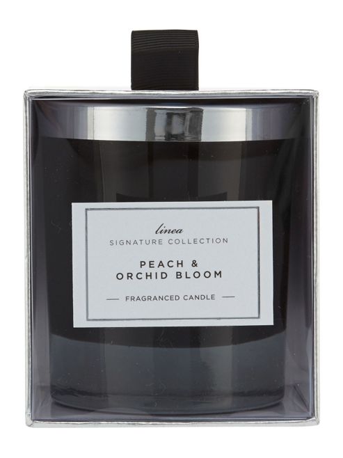 Image of Linea Peach & Orchid Bloom Single Candle