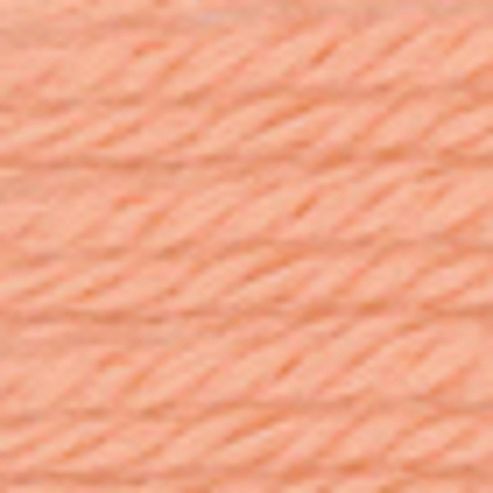 Image of Anchor Tapestry Wool 10mt 8322