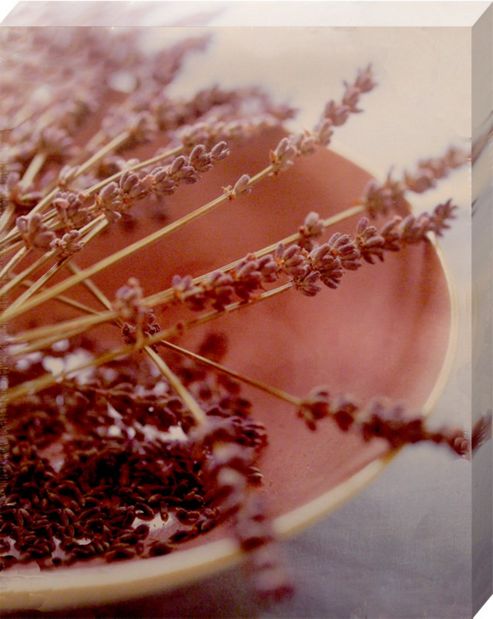 Image of The Art Group Sandra Lane Lavender Canvas Print