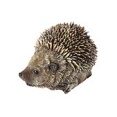 Tomcham Res12 Spike Hedgehog Baby