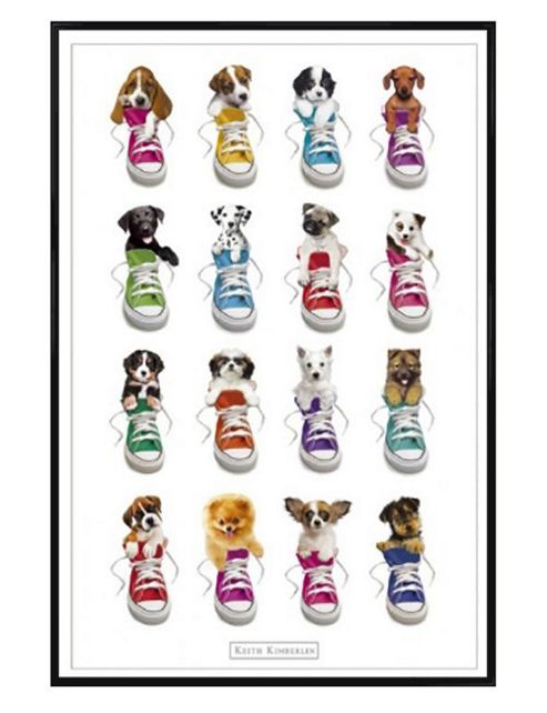 Image of Keith Kimberlin Gloss Black Framed Puppies In Trainers Poster