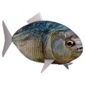 Wow Air Swimmers Piranha.