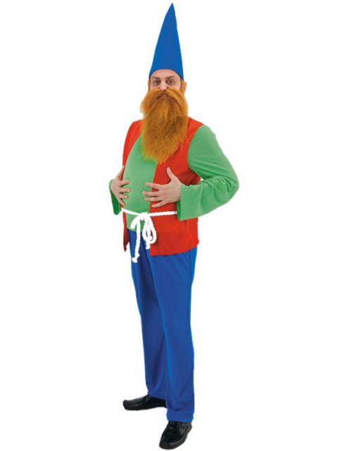 Image of Dopey Gnome Costume