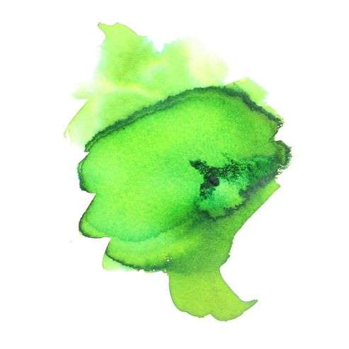 Image of Brusho Colours Leaf Green Small