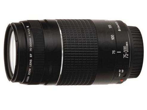 Image of Canon 6473a015aa 75-300mm F/4-5.6 Iii Telephoto Zoom Lens