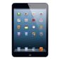iPad Mini with Wi-Fi + 4G 16GB Black