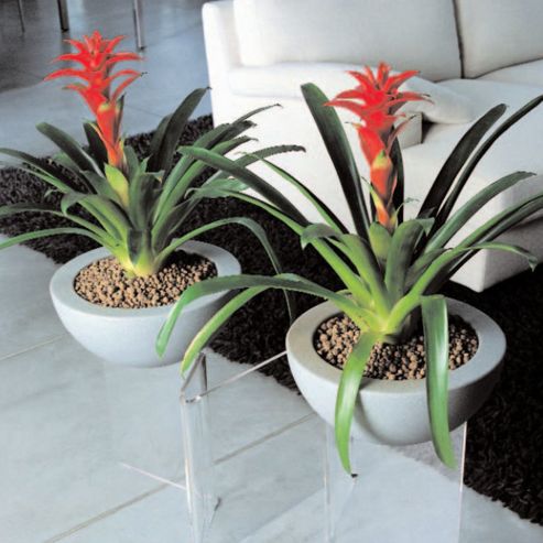 Image of Emporium Positive Design Eebavoglio Double Flower Tray - Grey