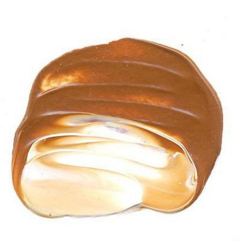 Image of W&n - Gac 60ml Raw Sienna