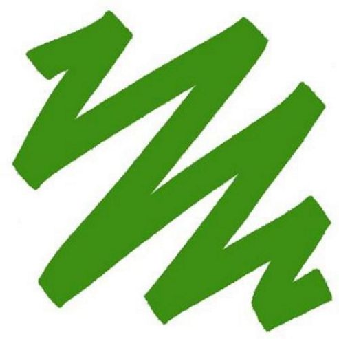Image of Pro Marker - Forest Green (s)