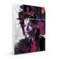 ADOBE - BOXED PRODUCTS - INDESIGN CS6 - V8 WIN EN