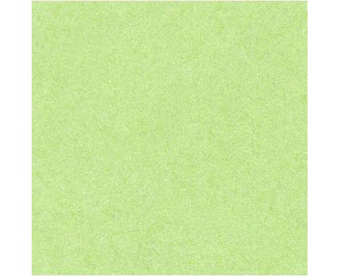 Image of Tissue - 24 - Light Green