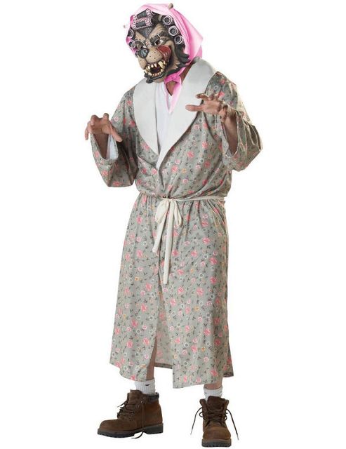 Image of Big Bad Wolf Costume