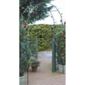 Greena Easy Arch