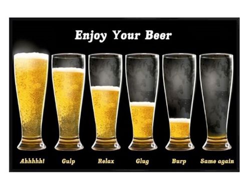 Image of Enjoy Your Beer Gloss Black Framed Life Of Beer Poster
