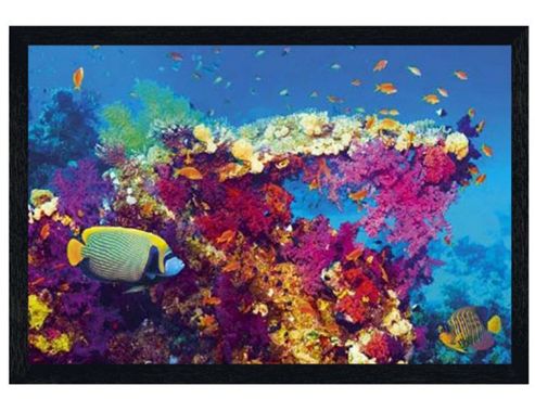 Image of Black Wooden Framed Coral Wonderland Poster