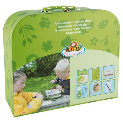 Image of Fallen Fruits Discovery Box (studying Plants)