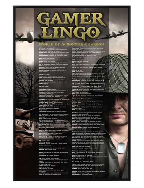 Image of Gamer Lingo Gloss Black Framed World Of Acronyms And Jargon Poster